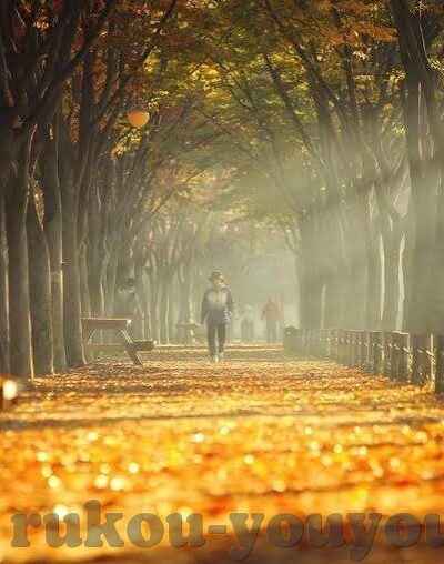 白晶晶果冻传媒-探索白晶晶果冻传媒的独特魅力与行业影响