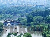 成人免费视频在线播放-网络世界的灰色地带