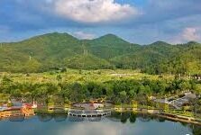 麻豆 av.com-麻豆，av.com影像下的网络文化探索
