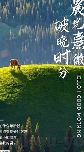 麻豆女张芸熙AV片-麻豆女张芸熙与她不为人知的荧幕故事