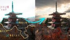 麻豆视频免费在线播放-麻豆视频，免费在线播放的魅力与边界探索