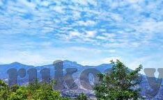 帕帕视频麻豆-帕帕视频麻豆，一窥网络直播的魅力与挑战