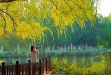 日韩av网站在线-日韩AV网站在线，文化、市场与法律边界的探讨