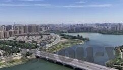 糖心app兑换码2022-糖心app兑换码2022，解锁专享福利的新途径