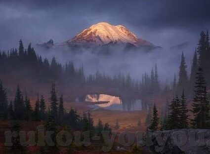 糖心app官网iOS下载-探索糖心app官网iOS下载的便捷路径与全方位解析