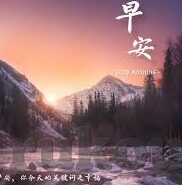糖心vlog免费版污苹果下载-糖心Vlog，净化网络空间下的美