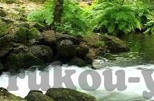 在线无码人妻网视频-探索网络文化的多元视角，在线视频平台的伦理与界限