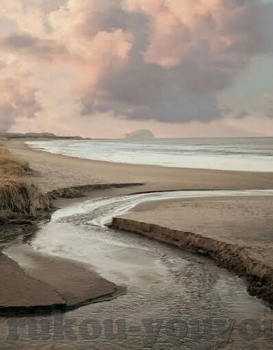 在线中文伦理网站-探索在线中文伦理网站的构建与价值